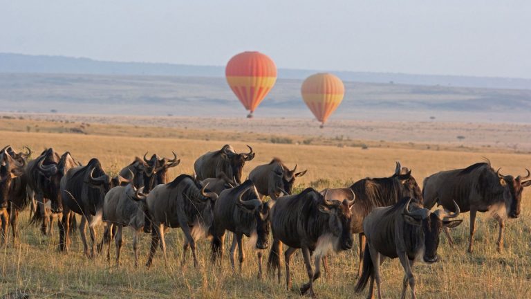 Serengeti Balloon Safari andBeyond Experience