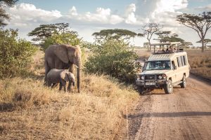 Tanzania Safari expedition and mountain climbing
