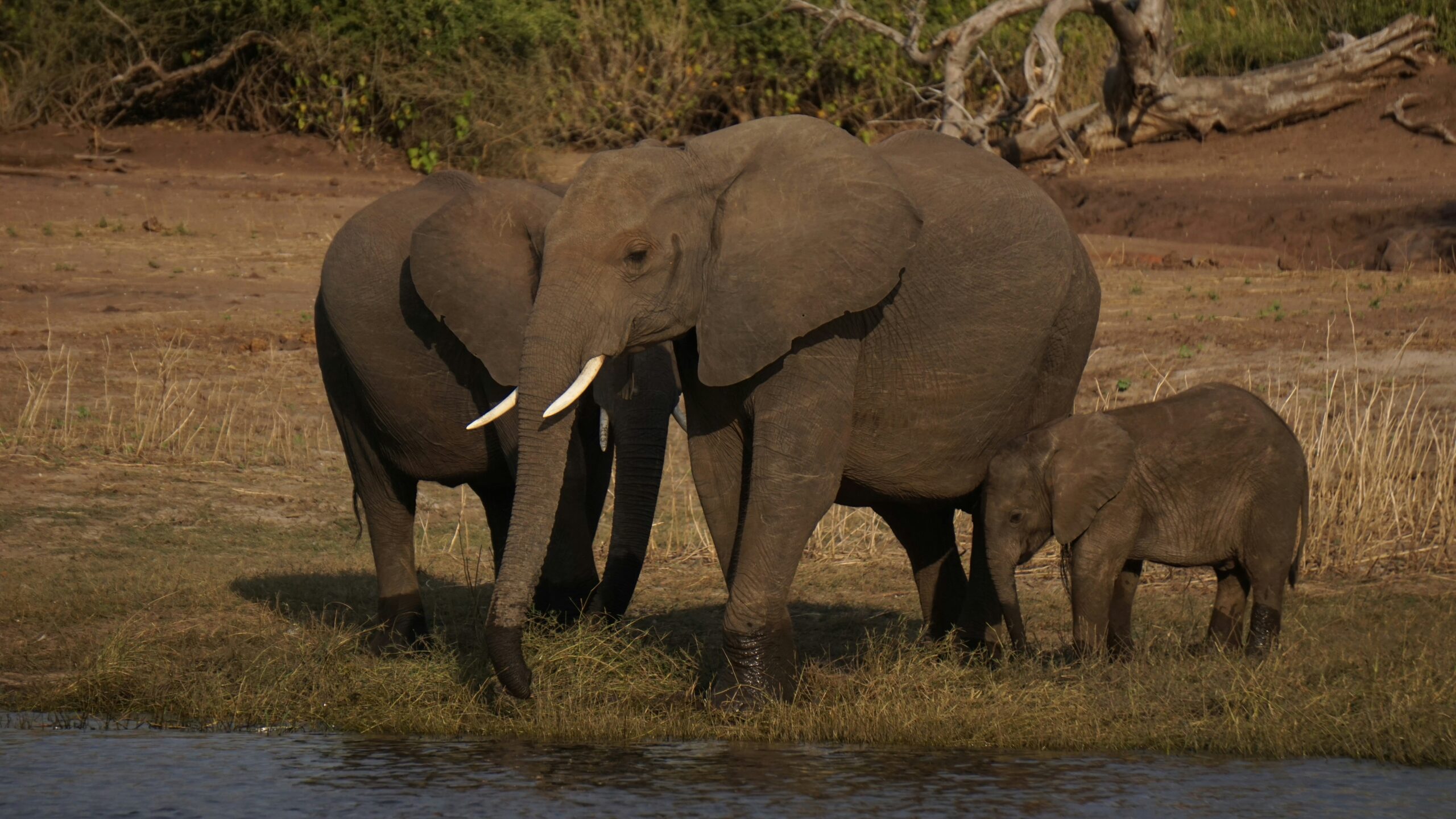 Home 11 jade plk gSs3zFnAMA4 unsplash scaled