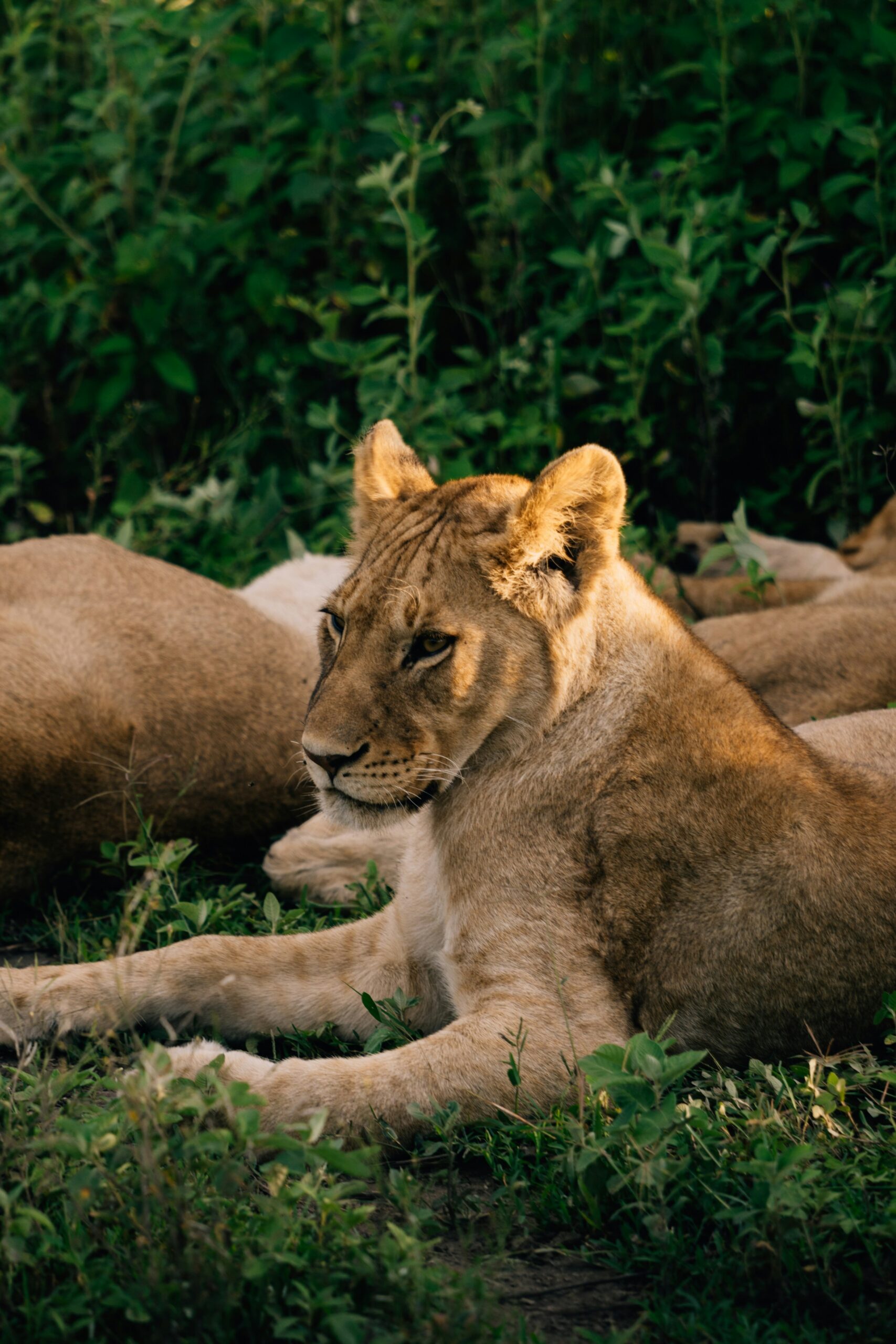 Home 2 peter thomas O88zet1ZKc unsplash scaled