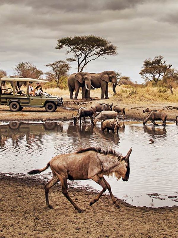 Game-Drive-north-of-Serengeti-National-Park