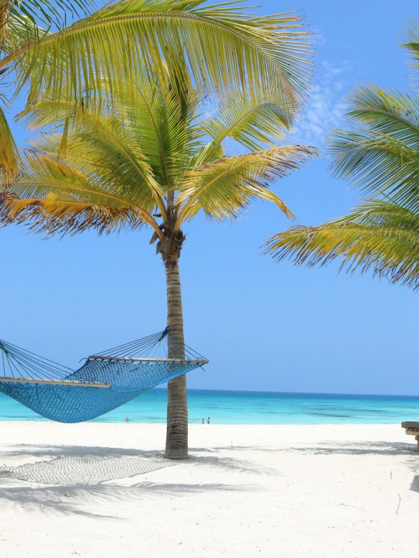 danai-tsoutreli-G4zORfstMW0-unsplash