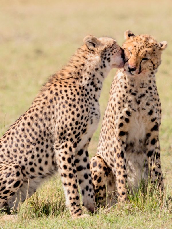 hari-nandakumar-uIrWBJEvjC4-unsplash