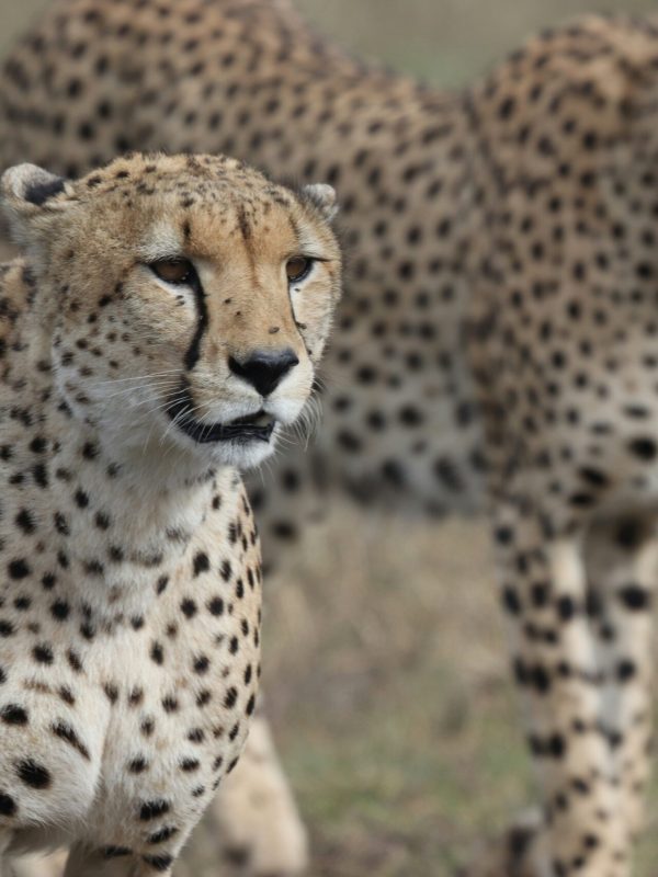 henrik-hansen-3bdHrU06YoQ-unsplash