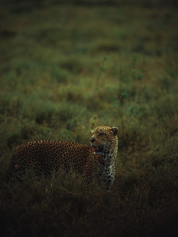 matthew-stephenson-oITP69UERcs-unsplash