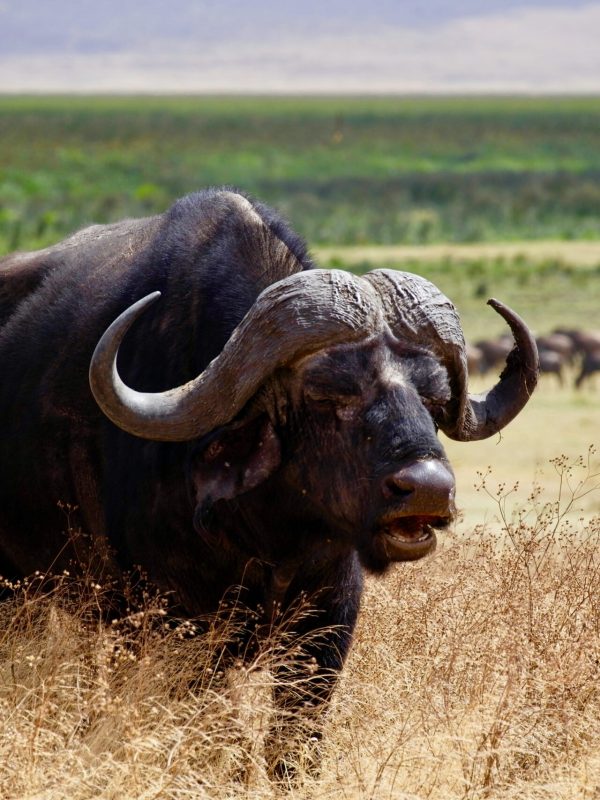 ray-rui-a8JLnaMgvXo-unsplash